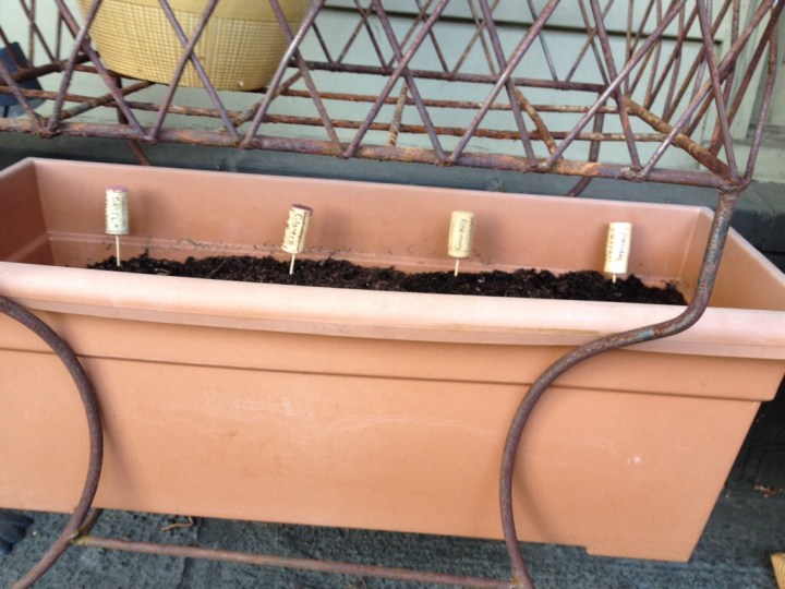 It will look even prettier once the herbs start to sprout.