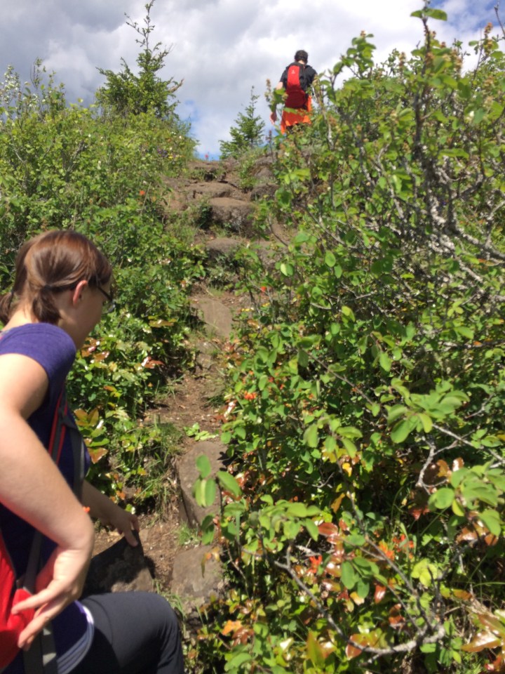 This "non-path" leads up to a small overlook with beautiful views of Table Mountain and the Gorge (and uninterrupted by passersby).