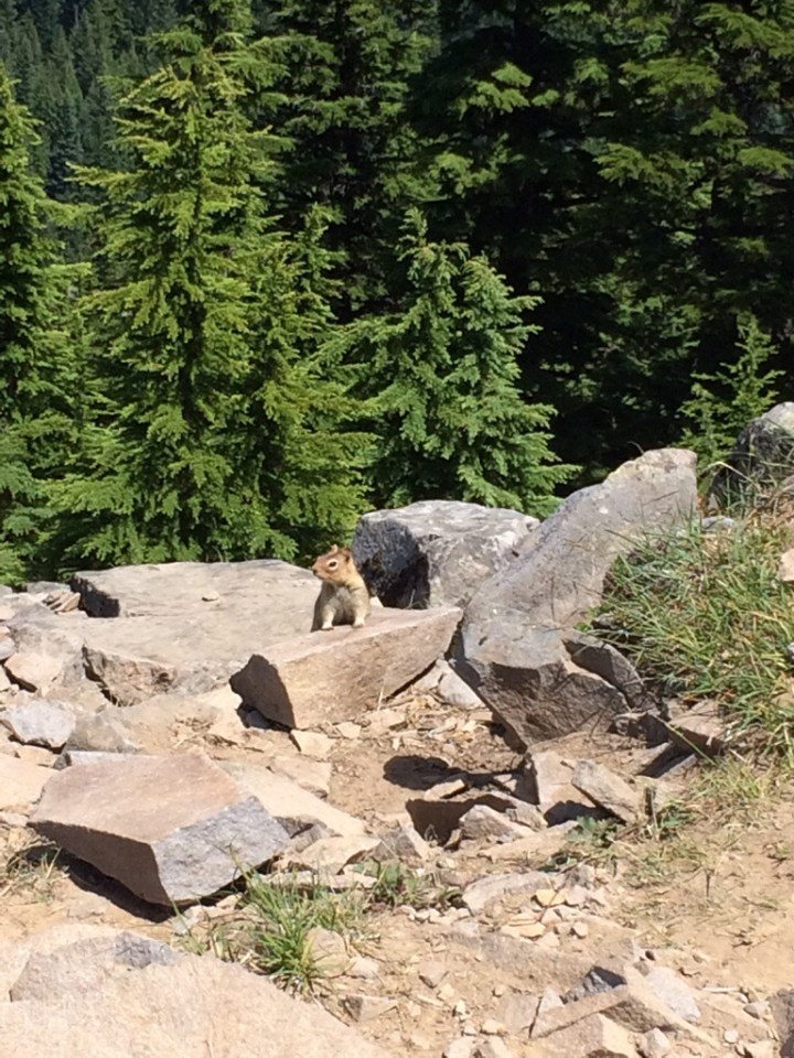 A few of the locals might even come out to say "hello".